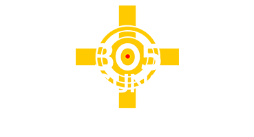 305guns.com